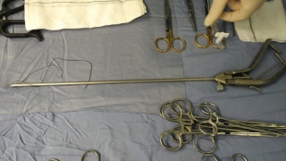 Punto endoscopia.jpg